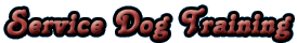 Service Dog Training></p>
	<ul>
		<li>
		<p class=